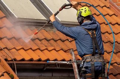 Démoussage et hydrofuge de toiture à Lumeau